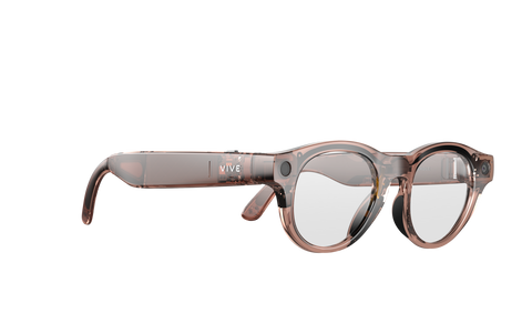Vive Eagle Pantos Clear Lens (Clear Brown)