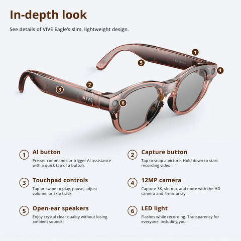 Vive Eagle Pantos Sunglass Lens (Clear Brown)
